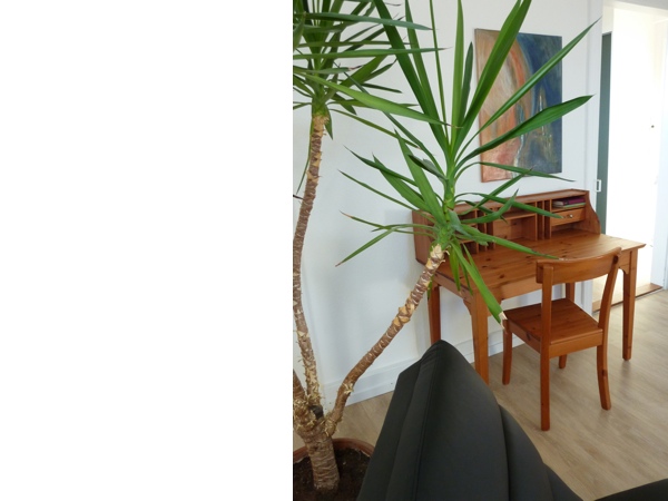 Apartment / Ferienwohnung Villa schlaf schön in Lörrach (bei Basel)